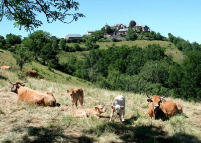 Hôtel & Restaurant Etape Saint-Privat d'Allier (43- Haute-Loire)